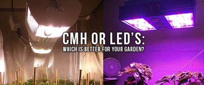 CMH VS LED