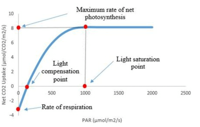 What Is Co2 Saturation Point