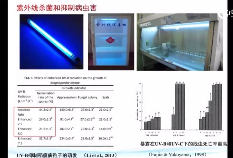 Uv Sterilization And Control Of Pests And Diseases