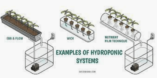 Hydroponic Equipments