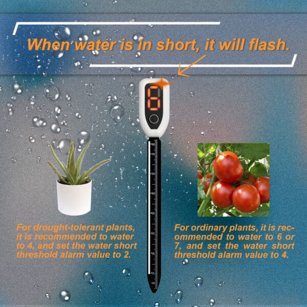 Plant Water Meter
