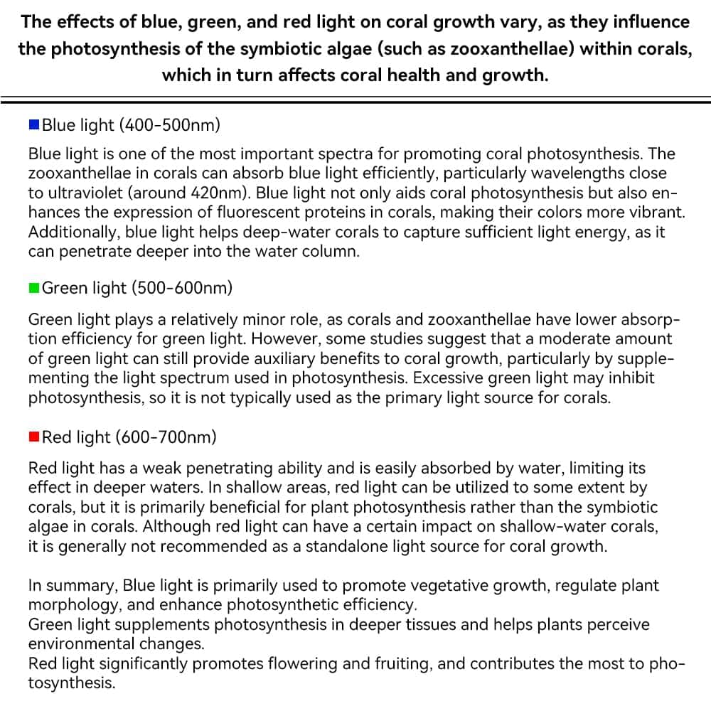 Explanation of blue green and red light effects in reef aquariums