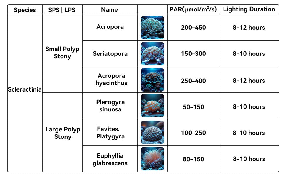 PAR reference chart for small and large polyp stony corals
