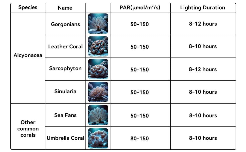 PAR reference chart for leather corals soft corals and other common corals